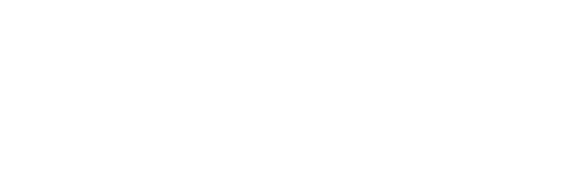 Boehringer Ingelheim
